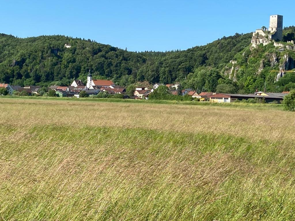Ferienwohnung Im Wunderschoenen Altmuehltal Wellheim Esterno foto